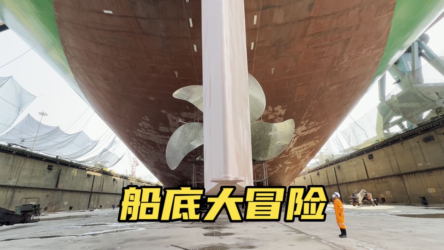 最大集装箱船的船底长啥样？有藤壶吗？螺旋桨到底有多大？