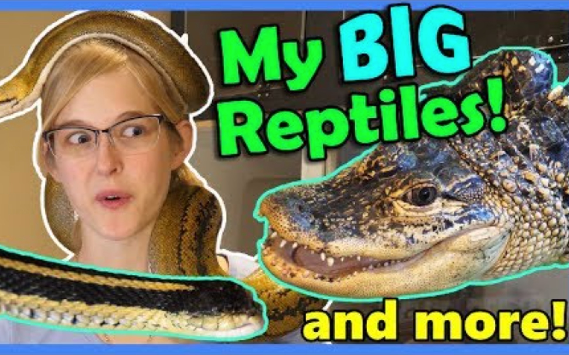 【中字】2019爬宠之家全景游!(下)Reptile House Tour! (Part 2!)哔哩哔哩bilibili