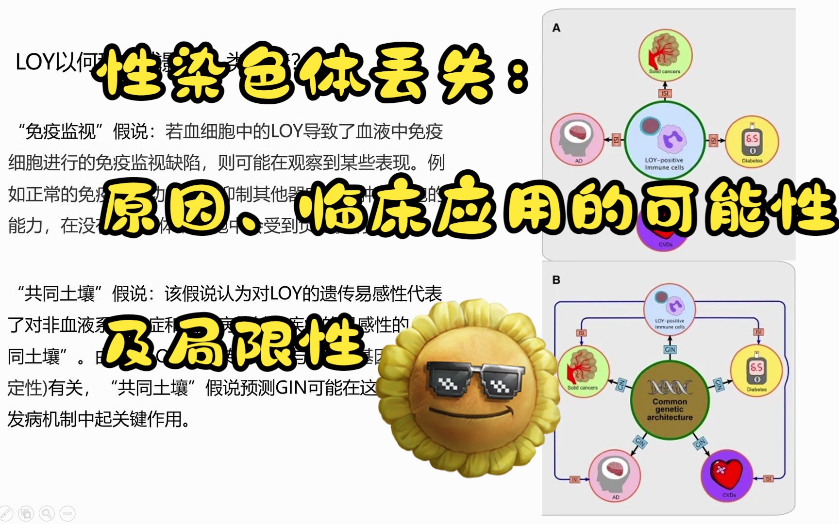 [图]性染色体丢失：原因、临床应用的可能性及局限性-临五2217何芷璇