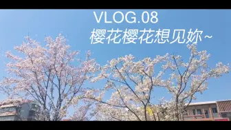 下载视频: 【蜜桃Vlog】Sakura,Sakura