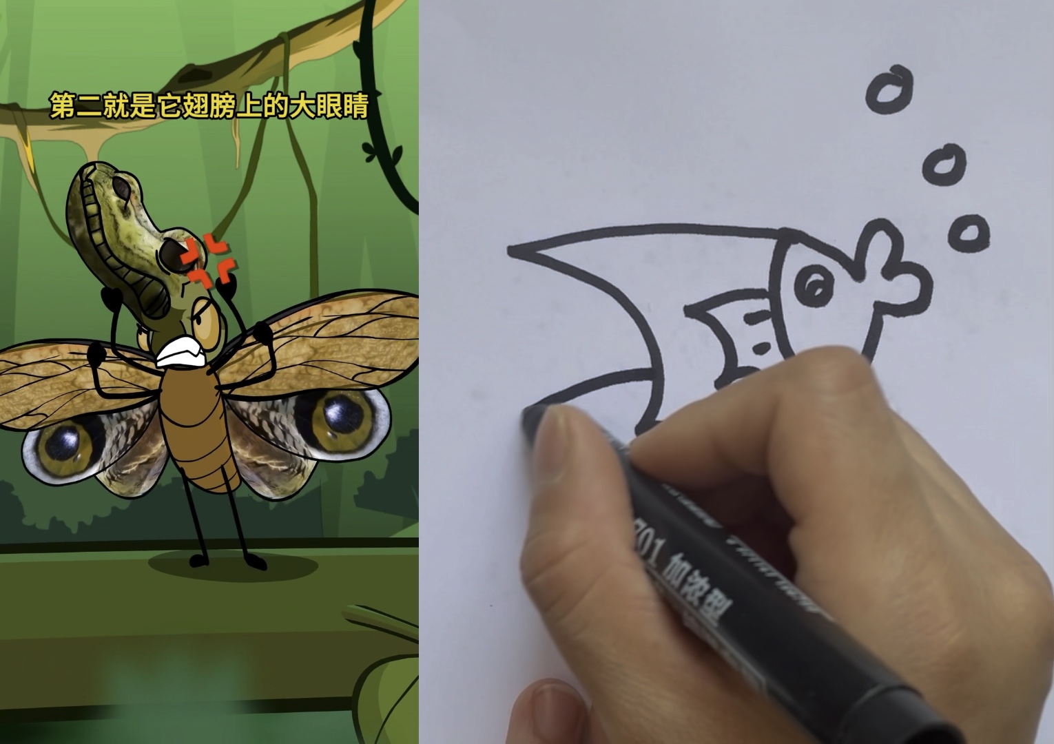 【简笔画小倩】我的最新作品,快来一睹为快!