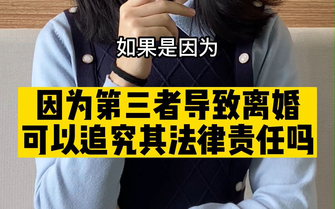 因为第三者导致的离婚,可以追究TA的法律责任吗?哔哩哔哩bilibili