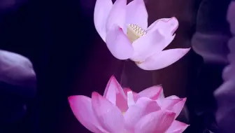 84、中国古代寓言故事-齐人有一妻一妾