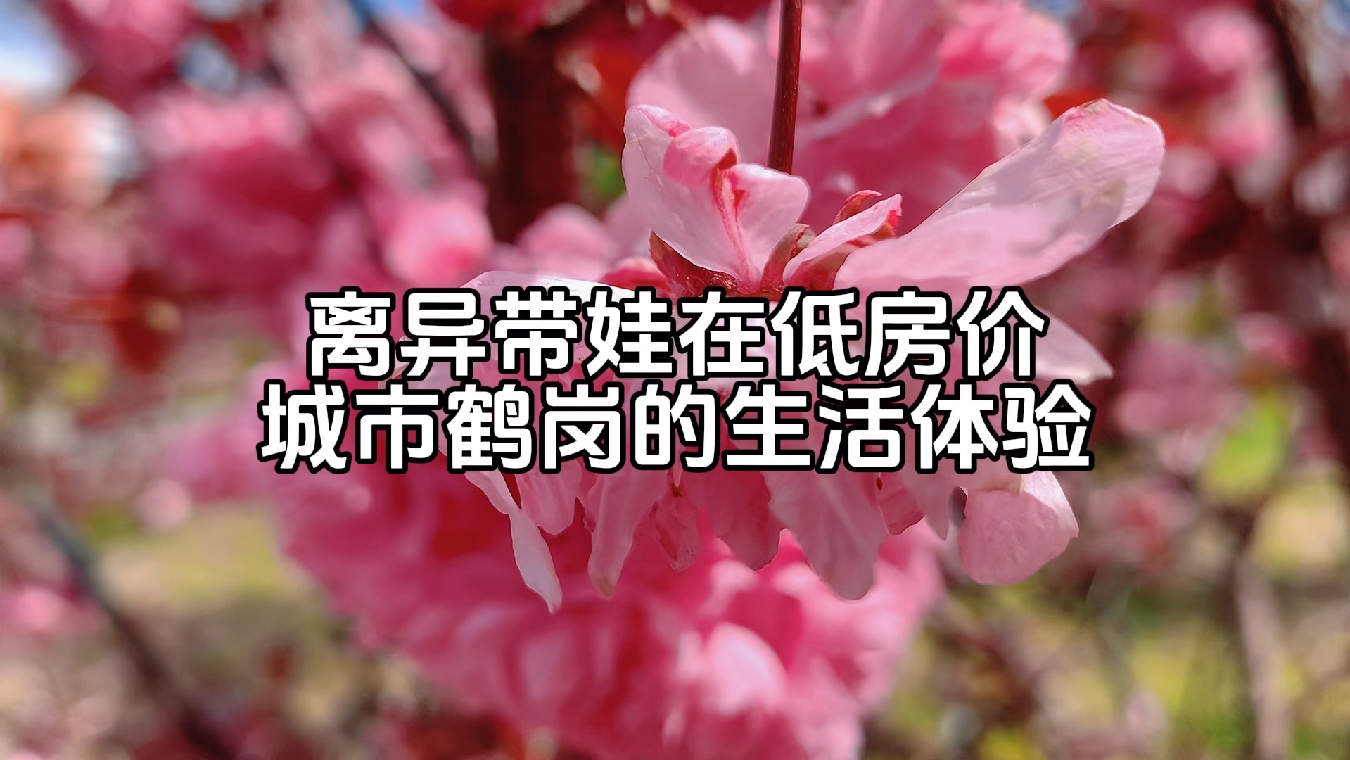 离异带娃定居低房价城市鹤岗的生活体验,在鹤岗点外卖感觉有点贵!哔哩哔哩bilibili