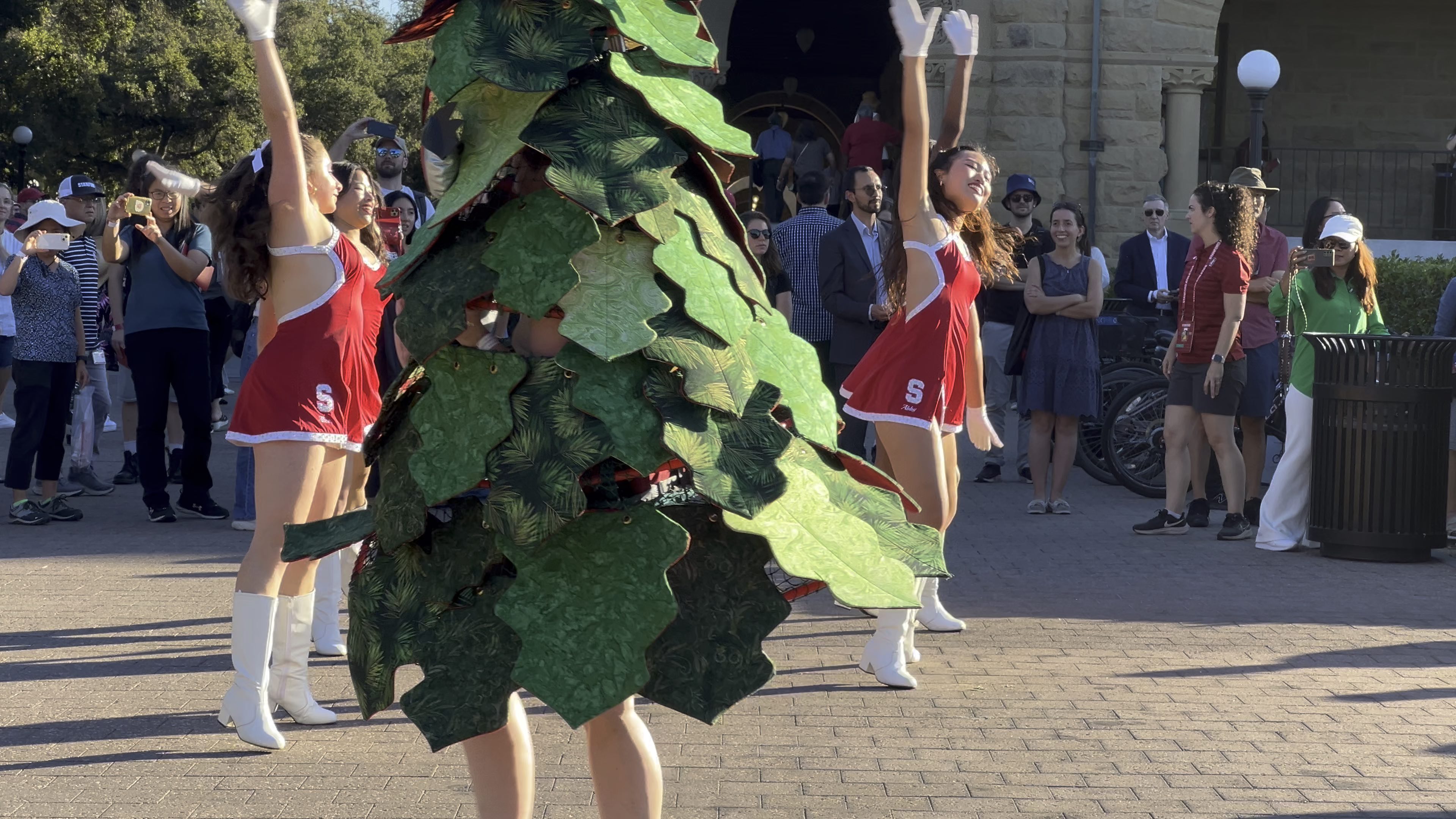 在斯坦福感受美国校园文化