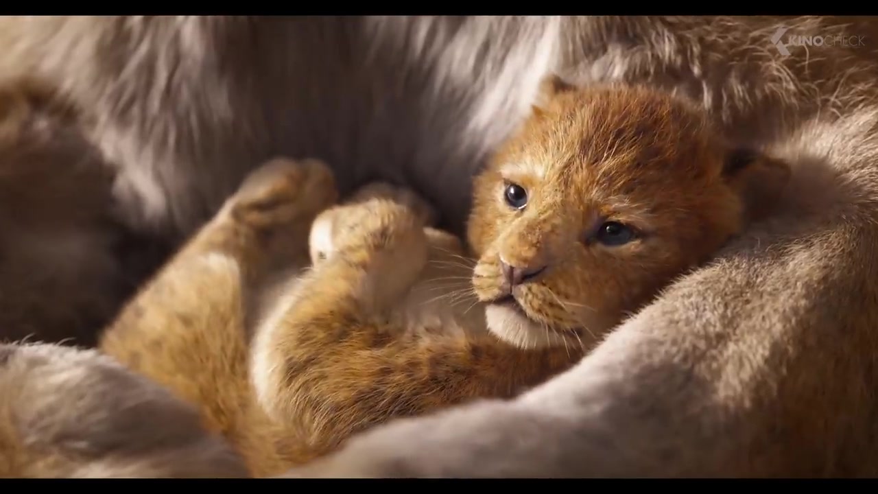 【德语生肉】狮子王2019 预告片