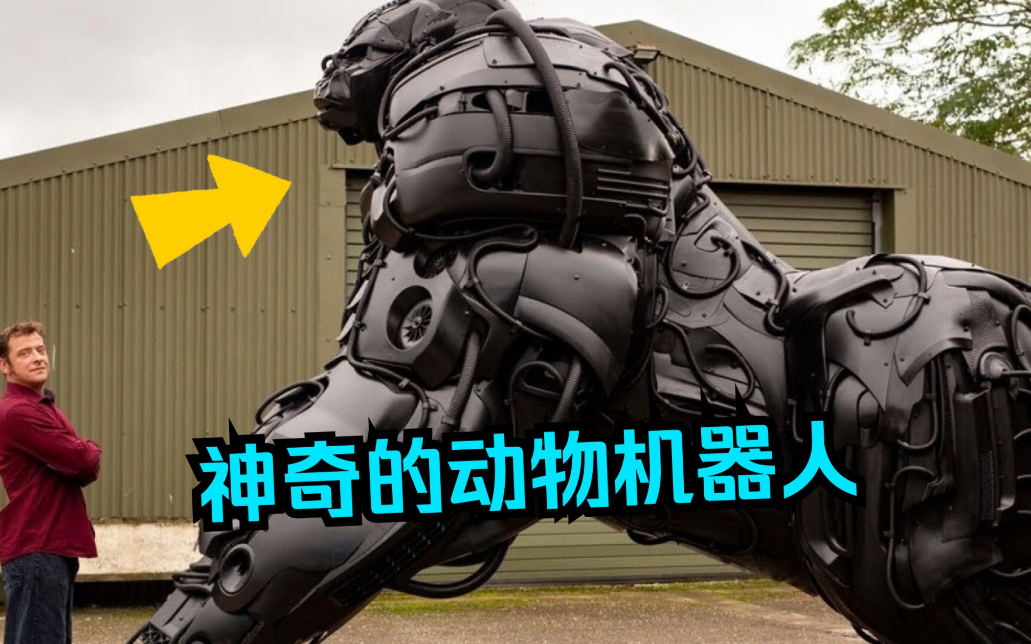 科技的力量,令人吃惊的五款神奇的动物机器人!