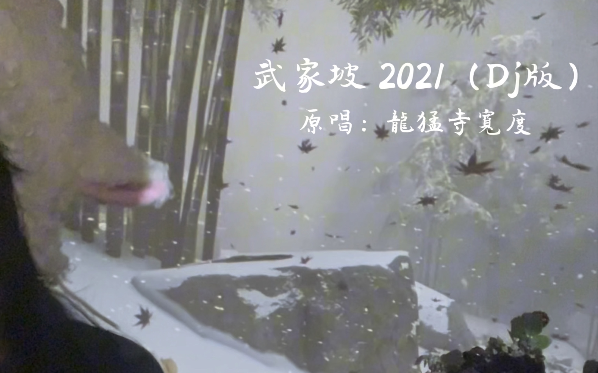 [图]翻唱《武家坡2021Dj版》