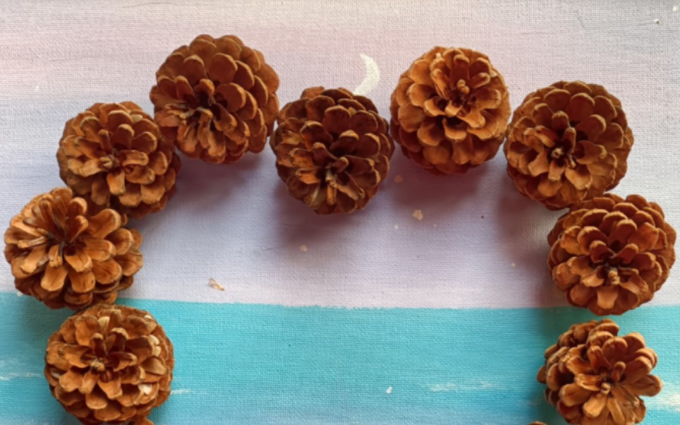 任务3:爱心松果