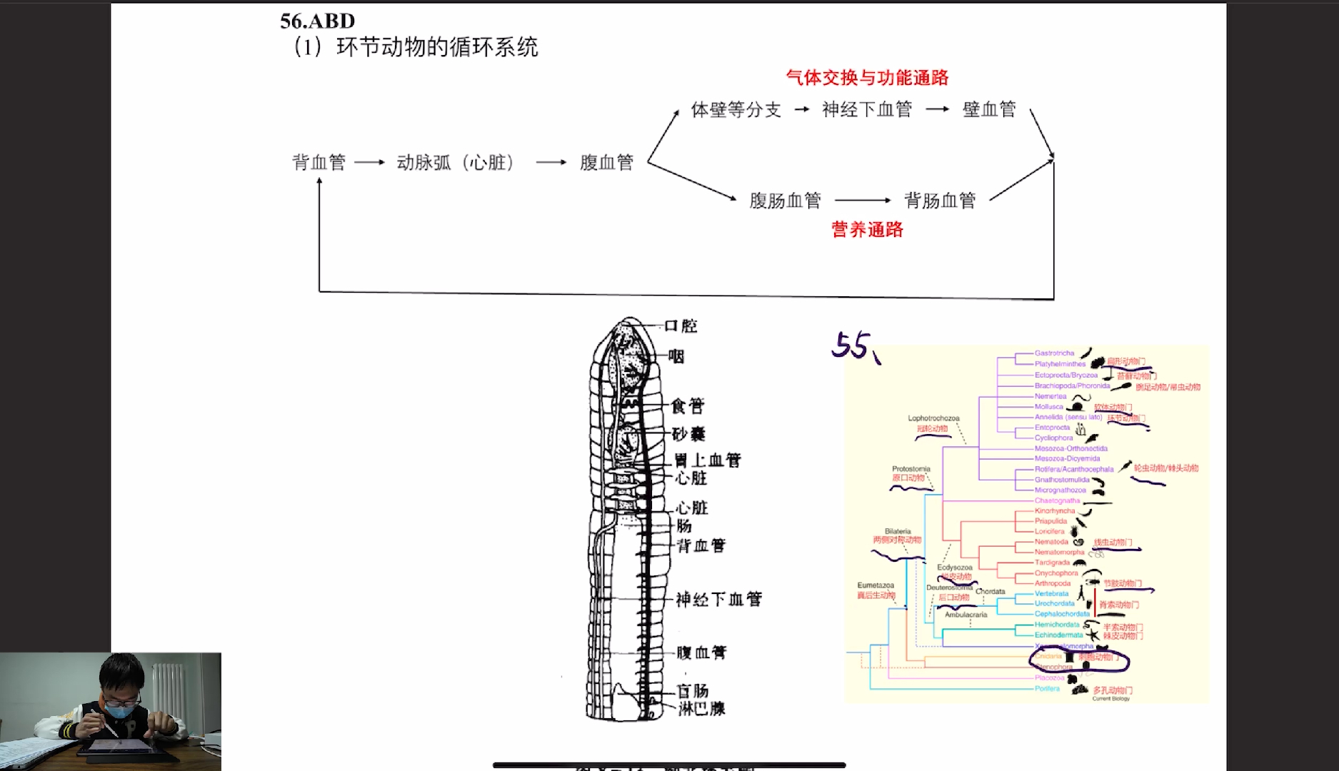 YCBO2剩余部分讲解哔哩哔哩bilibili