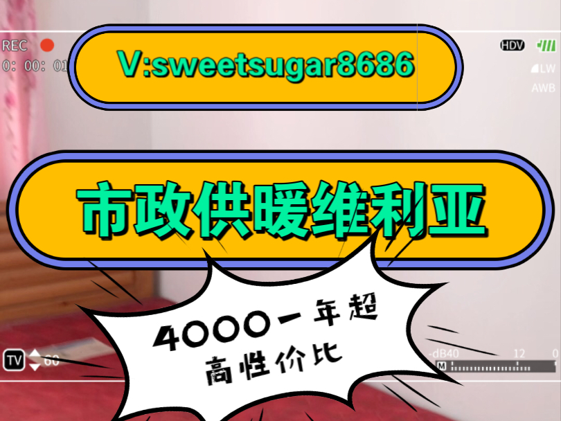 出租!乳山银滩市政供暖超高性价比三居室 看海 采光一级棒 宽敞明亮 一年紧需4000.哔哩哔哩bilibili