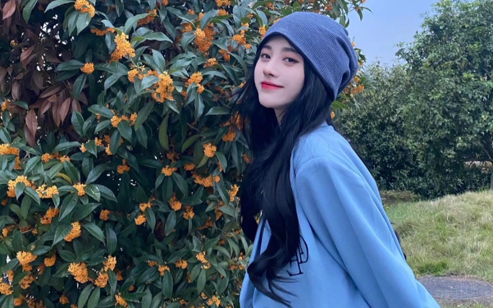 五颜六色的鞠鞠子太阔耐啦!