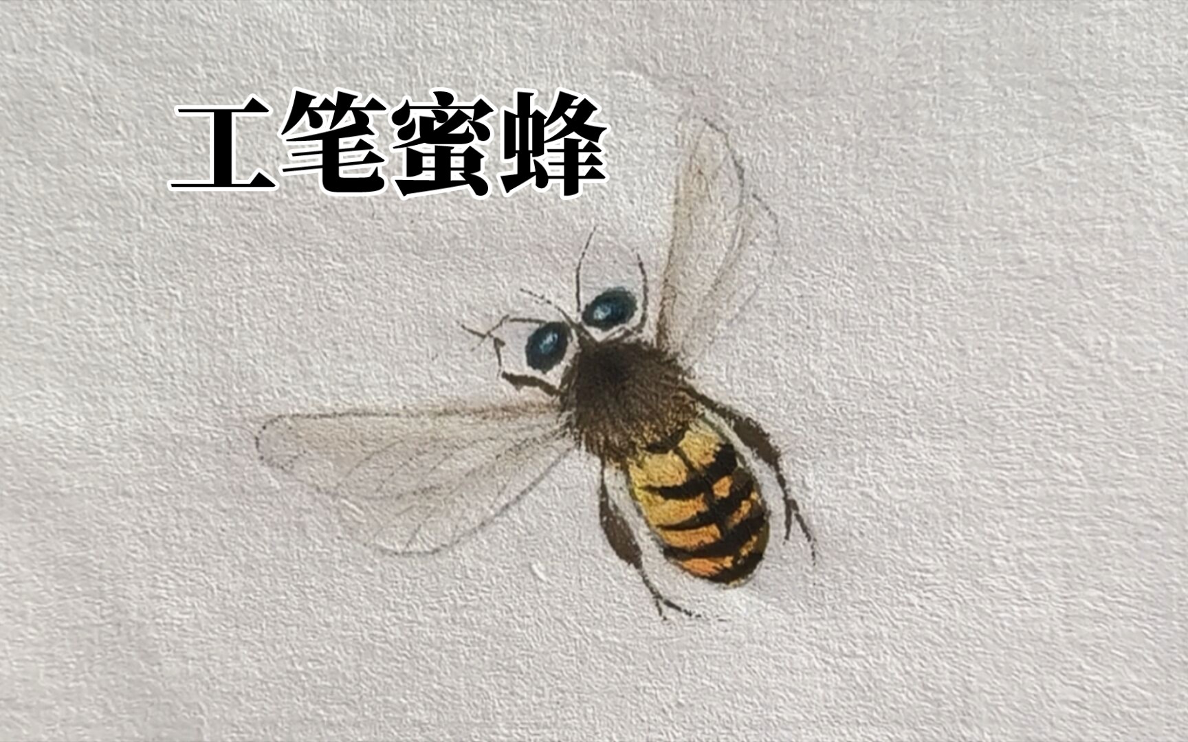 国画工笔蜜蜂画法,湿染法技巧讲解,各部位细节染色步骤和技法要点详细