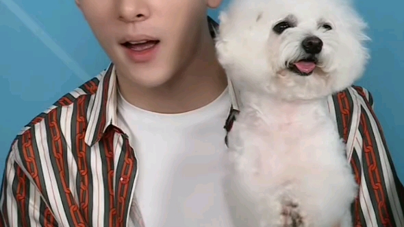 李佳琦直播间never拜拜好可爱