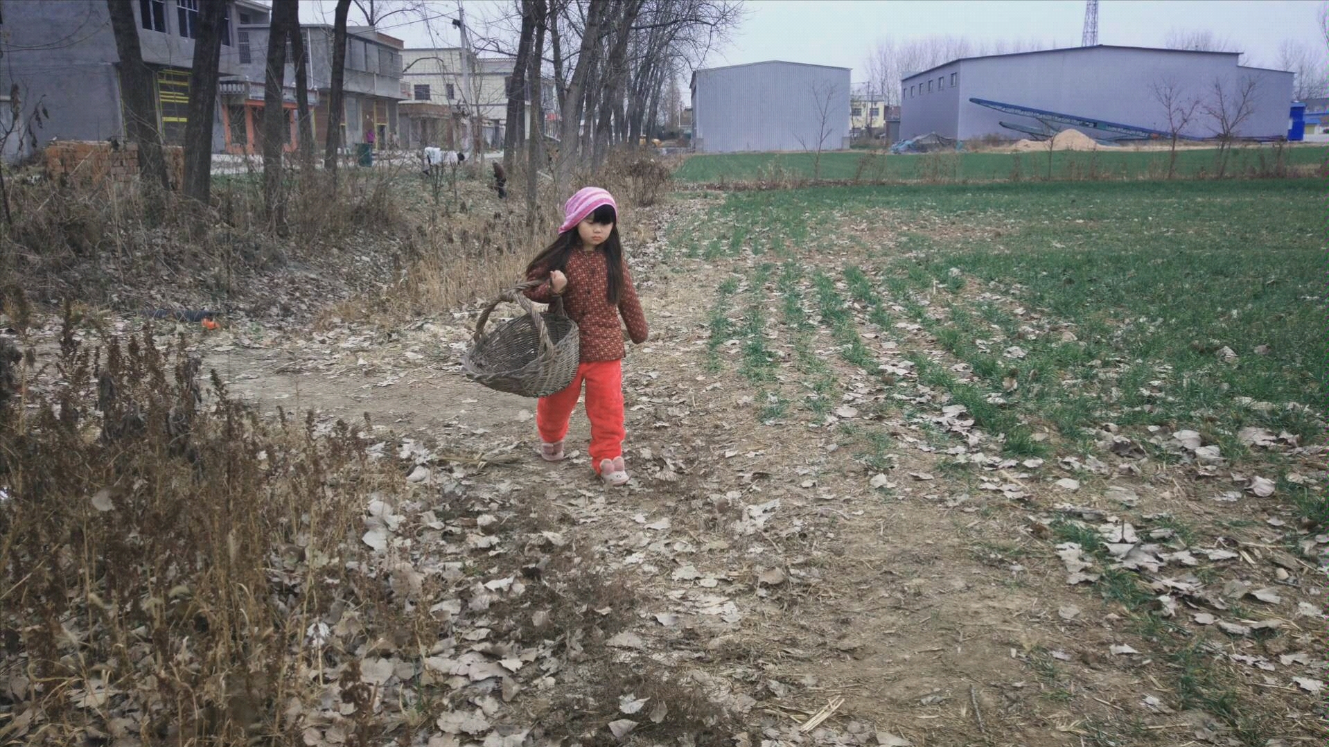 农村小妮偷鸡吃被骂街后的自我检讨太搞笑了