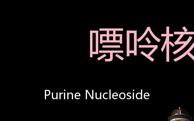 嘌呤核苷 Chinese Pronunciation Purine Nucleoside哔哩哔哩bilibili