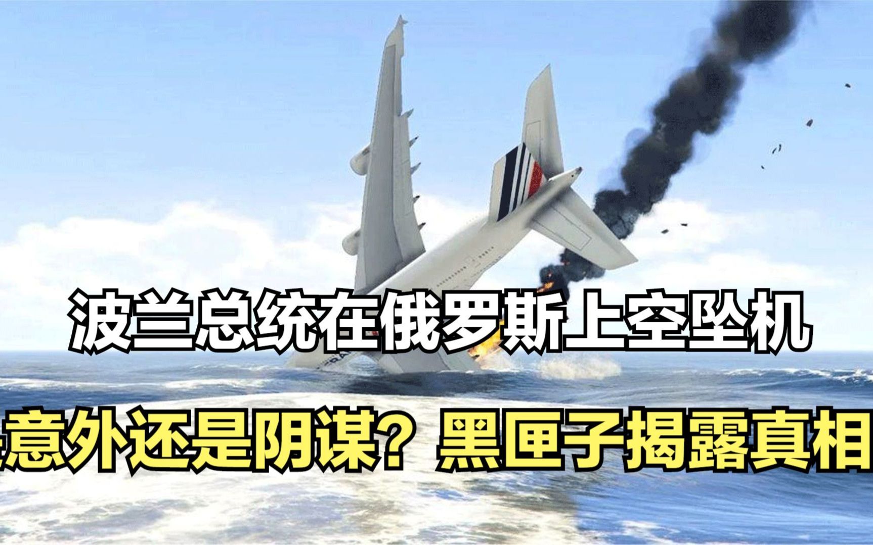 活动作品2010波兰总统在俄罗斯坠机总统高官共96人全部遇难