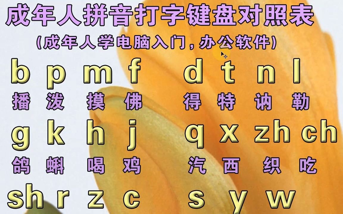 零基礎學習拼音拼讀教學視頻,成人漢語拼音打字