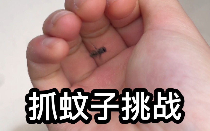 今天给大家表演个绝活——抓蚊子!