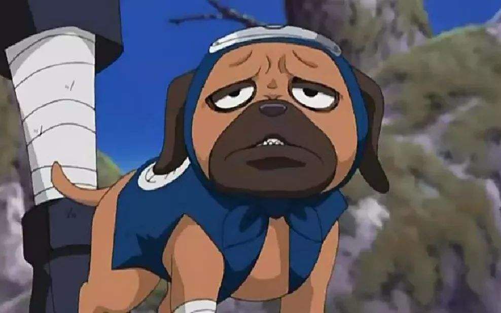 正在回微信的忍犬抬头被迫反杀病友,互相喂饭_哔哩哔哩 (゜-゜)つロ