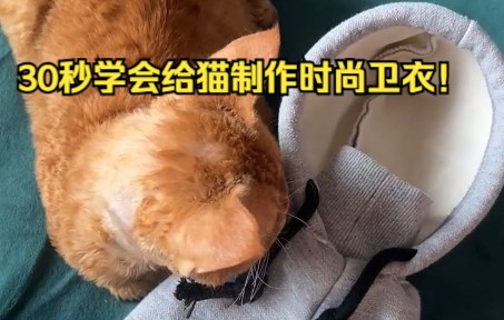 30秒学会给猫制作时尚卫衣!哔哩哔哩bilibili