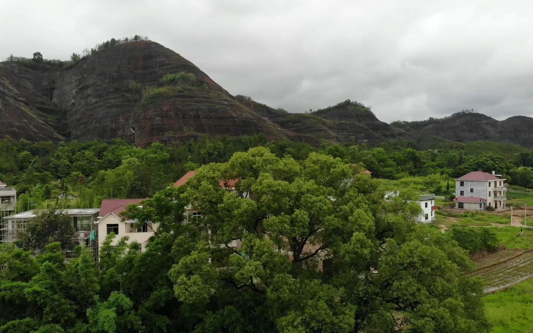 兴国县杨公留题青牛卧槽