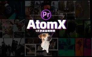 Video herunterladen: Pr插件脚本AtomX，9月更新版！