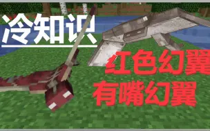 Video herunterladen: 【我的世界冷知识】MC最快生物！红色、有嘴幻翼？你不知道的幻翼冷知识！