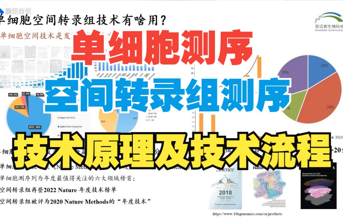 单细胞测序&空间转录组测序技术原理及技术流程【百迈客生物】哔哩哔哩bilibili