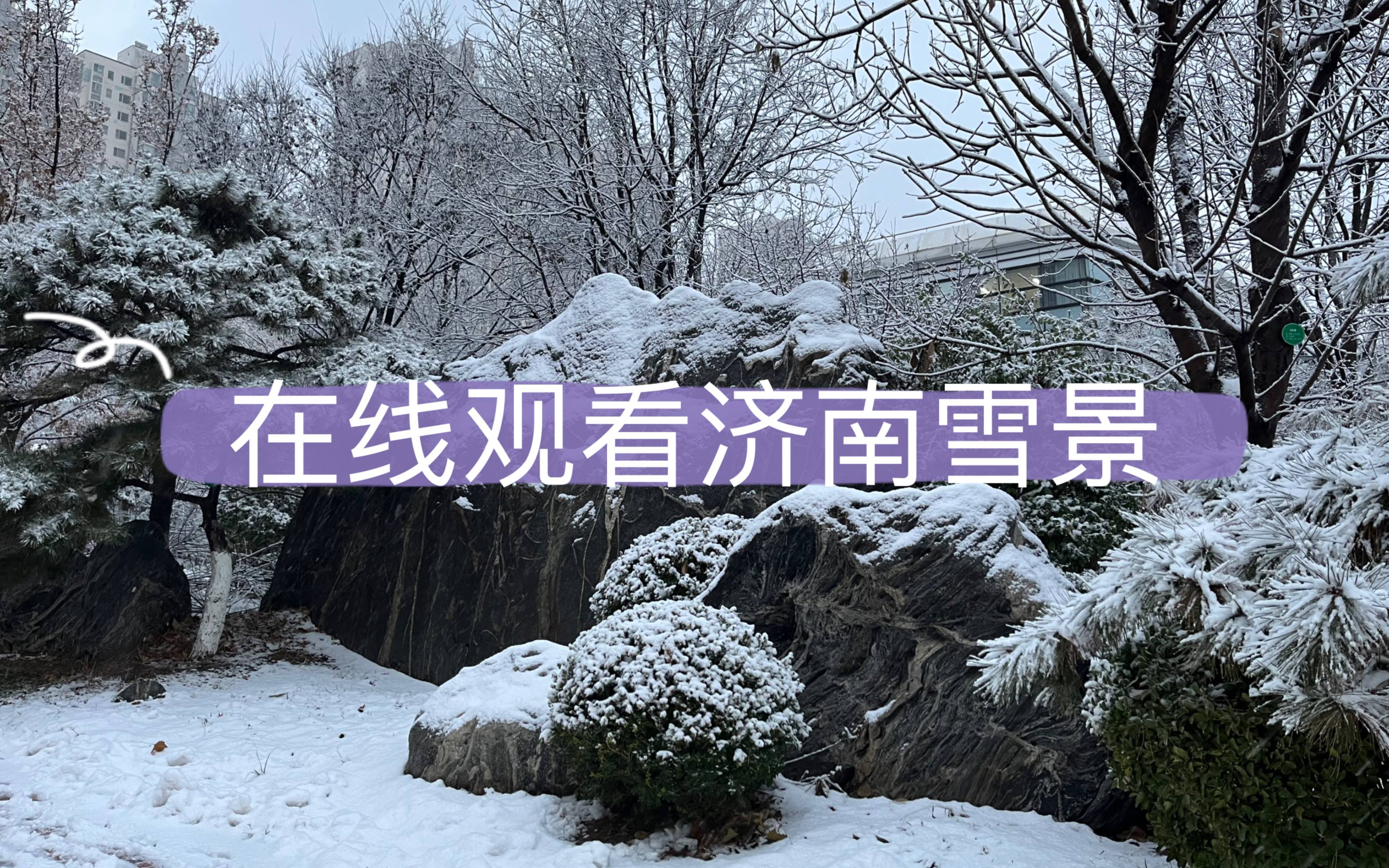 济南下雪了,快来感受这浪漫的冬日氛围!