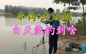 Скачать видео: 继续测试灰蚯蚓 白天打串钩 比夜钓效果还好 看看都钓到了些啥