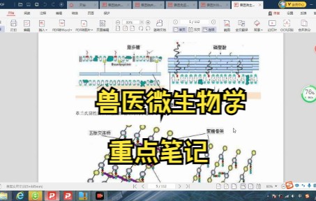 [图]兽医微生物学笔记 知识点 试题及答案 专业课 复习资料 学习笔记 名词解释 期末考试 考研