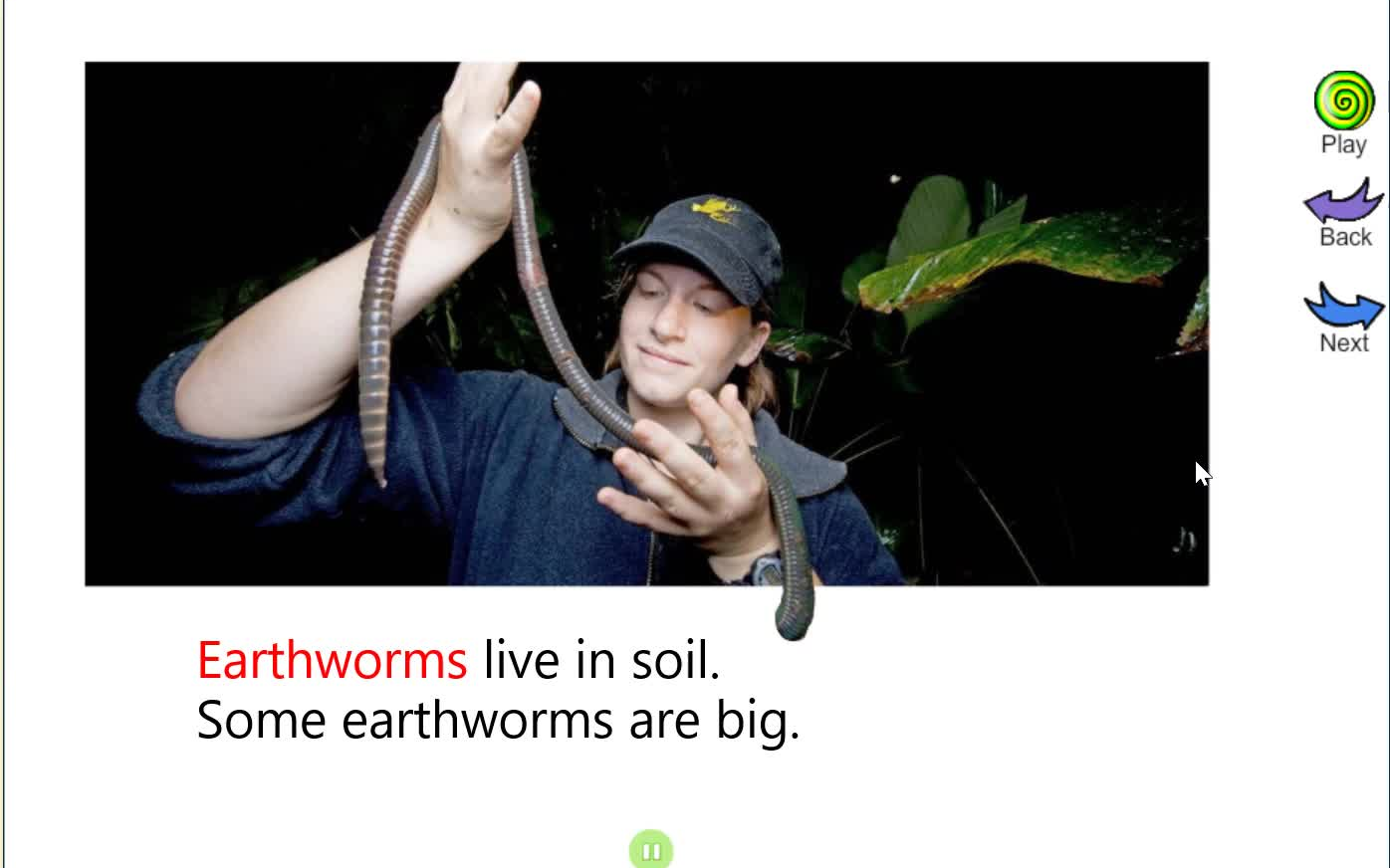 C3All about earthworms 关于蚯蚓 | 英文绘本 科学系列 | 影子跟读哔哩哔哩bilibili