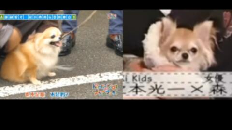 堂本光一 演唱会的特别嘉宾 哔哩哔哩 Bilibili