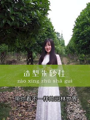 [图]有多少朋友希望有一年四季常绿又能开花的植物呢？