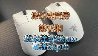 Download Video: 雷蛇两大旗舰鼠标蝰蛇V3pro专业版和毒蝰V3pro专业版 哪个是你的菜游戏外设 雷蛇.....