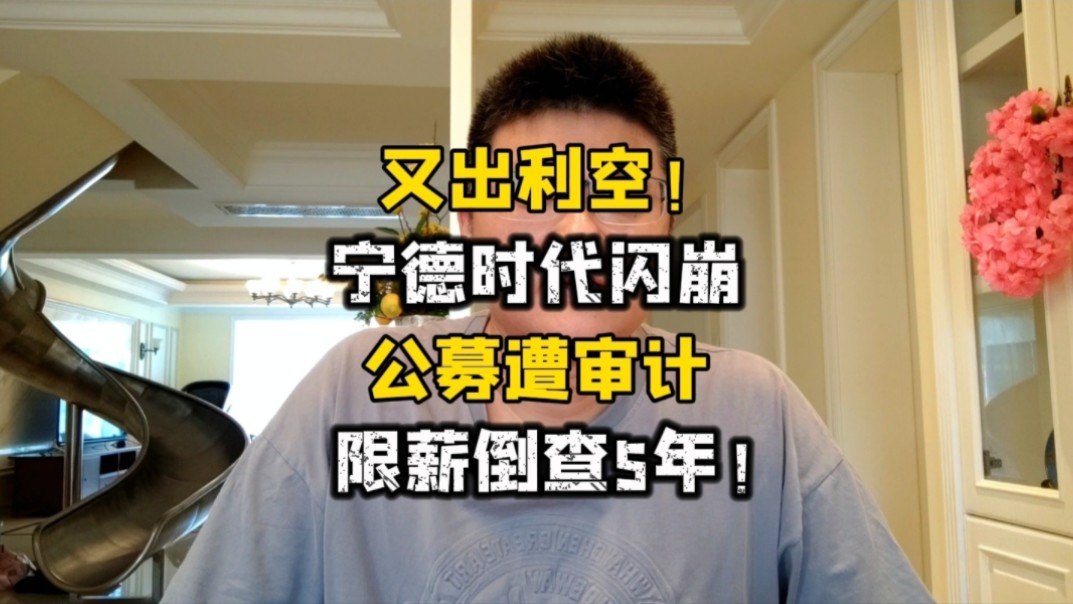 天天都暴雷!宁王闪崩,天风跌停,公募遭审计,限薪倒查5年!哔哩哔哩bilibili