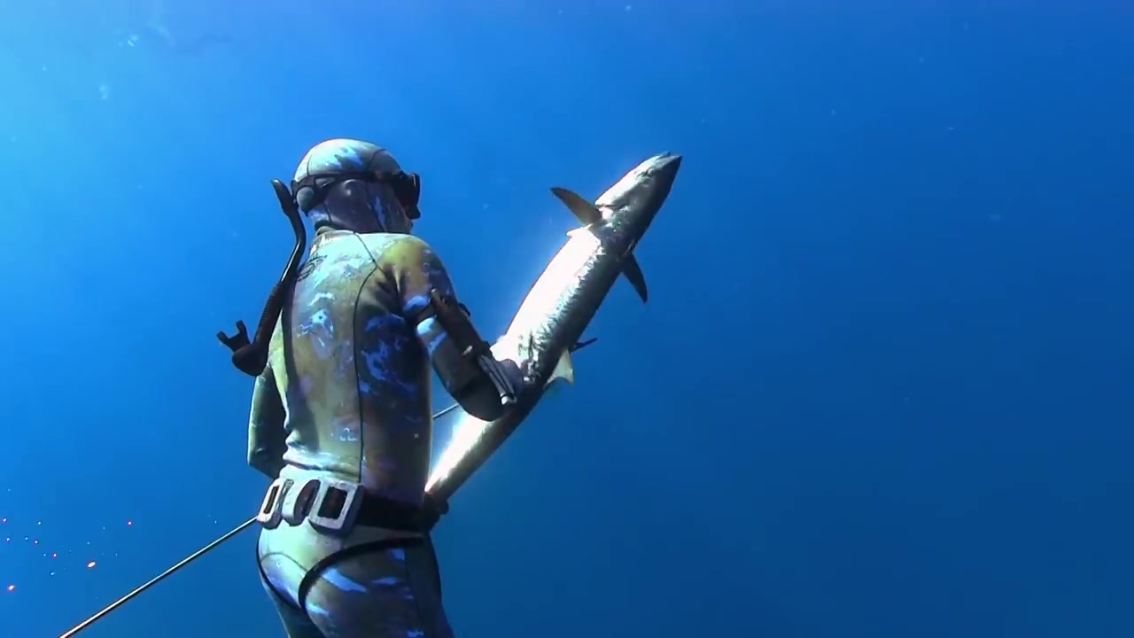 spearfishing madagascar & mozambique with mjk