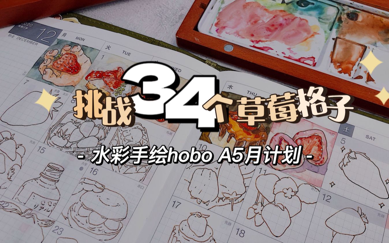 手绘手帐|挑战hobo A5月计划的34个小格子|草莓主题水彩哔哩哔哩bilibili