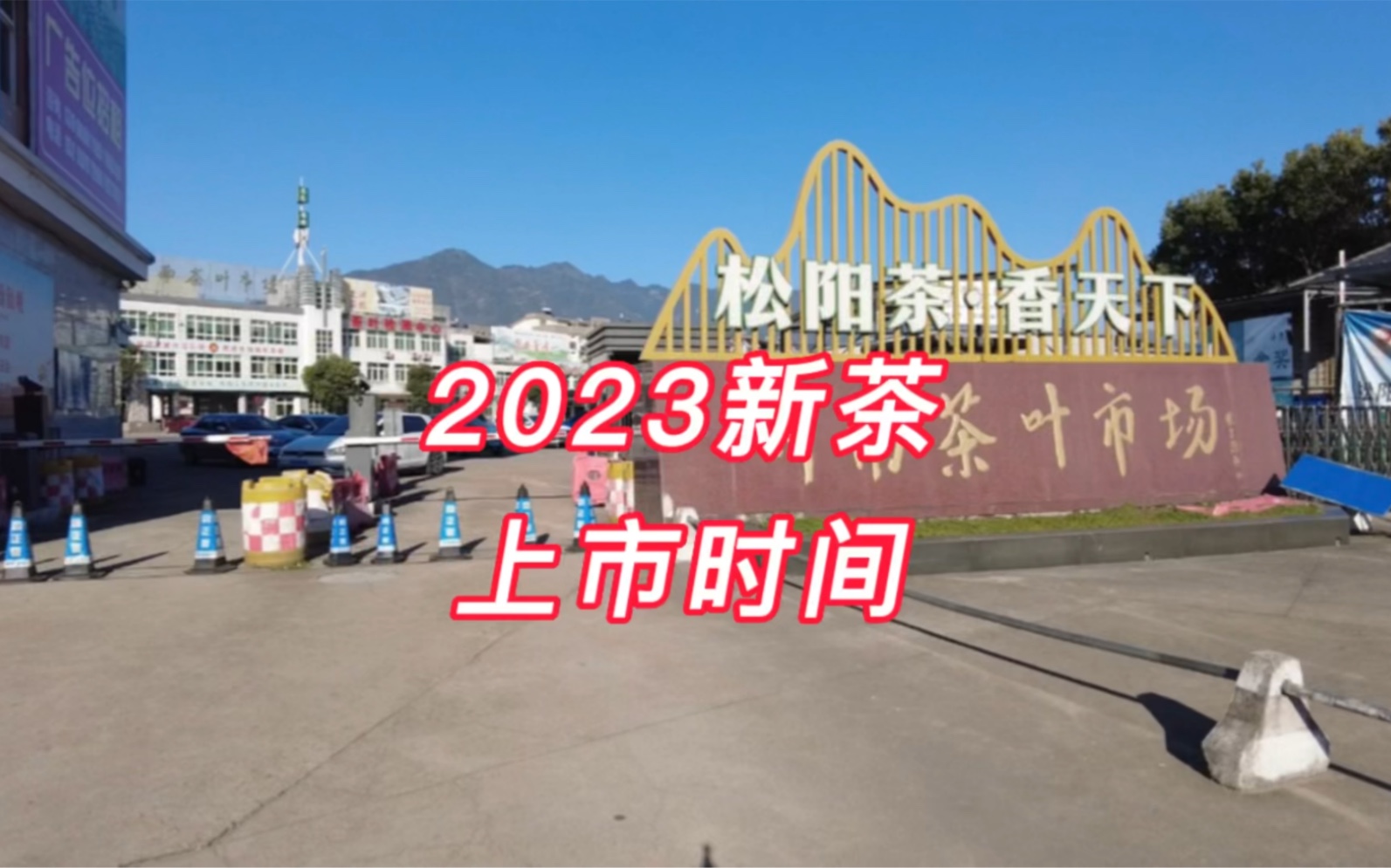 [图]预告：中国最大的绿茶交易市场2023年新茶上市时间