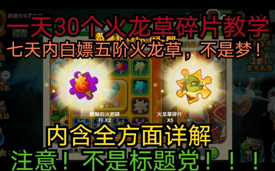 谁说pvz2是坑钱哒白嫖五阶火龙草全程教学