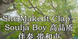 she make it clap - soulja boy 高品質 伴奏 帶和聲