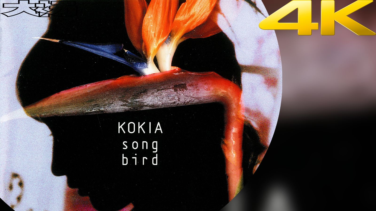 什么叫女毒啊? 白い雪-Kokia【B站最高音质】