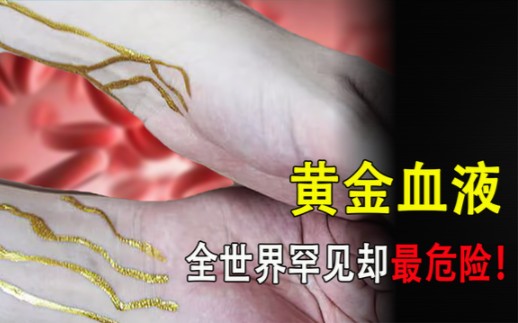 我国惊现最罕见的血型!比熊猫血还稀有,但同时也是最危险的血型