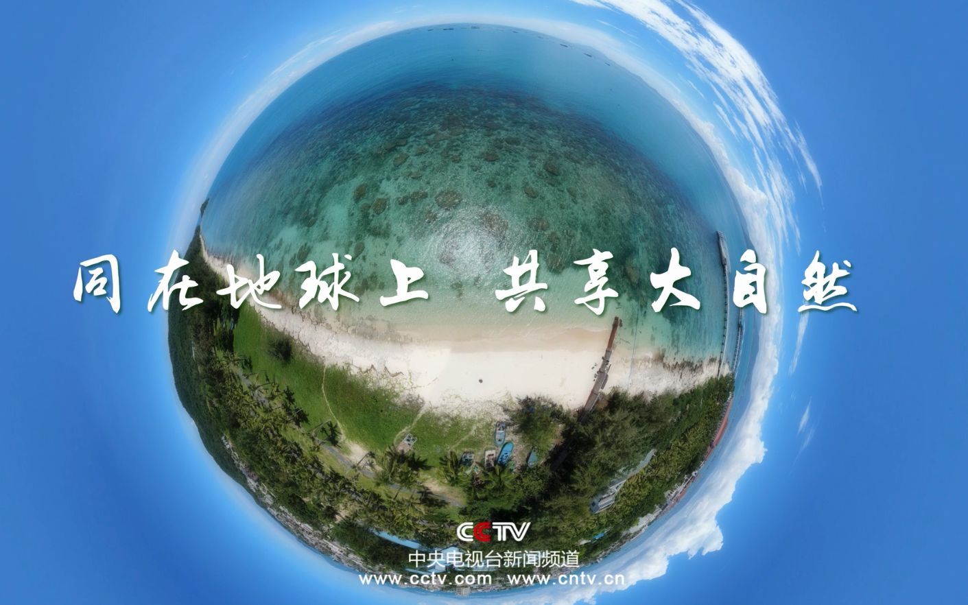 同在地球上 共享大自然 CCTV播出版哔哩哔哩bilibili