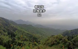 下载视频: 都江堰铜马沟环线2，到达山顶网红地遇见樱花林，沿路风光无限好