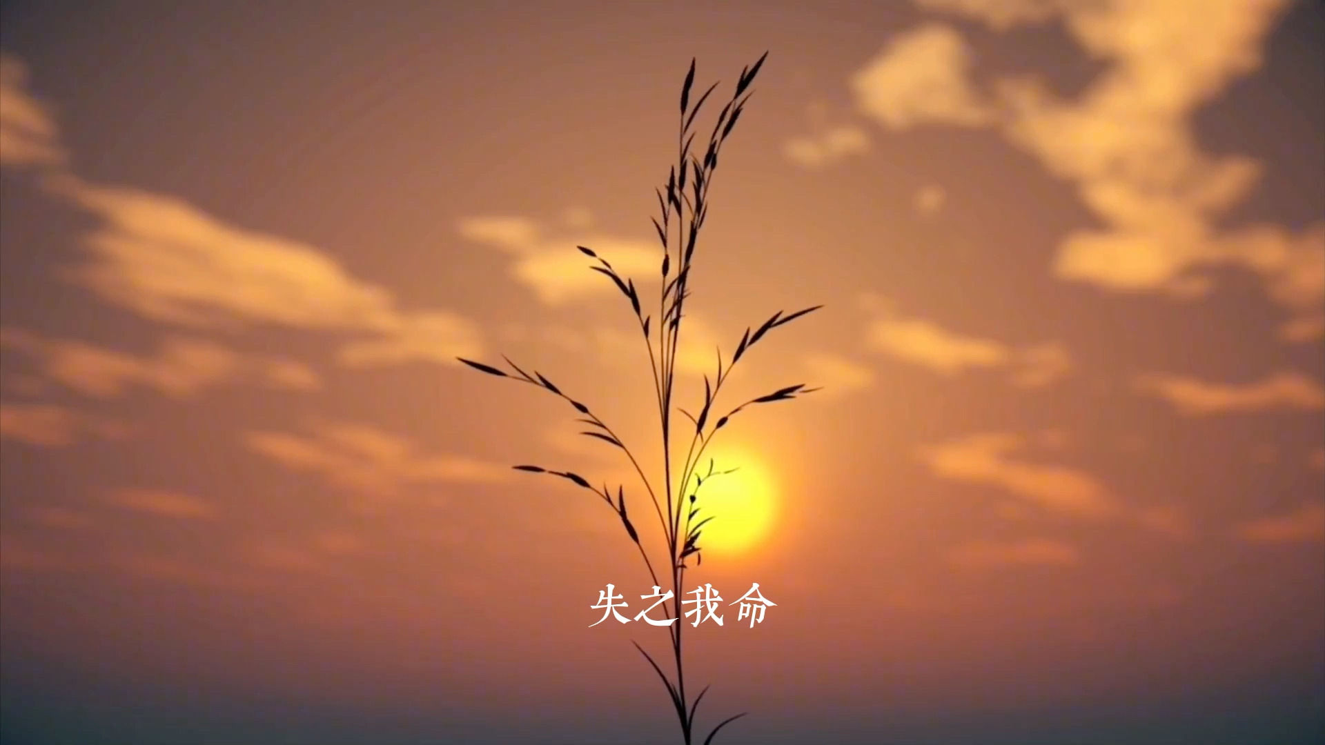 我越来越相信一句话,得之我幸,失之我命,不要害怕失去,因为不是你的