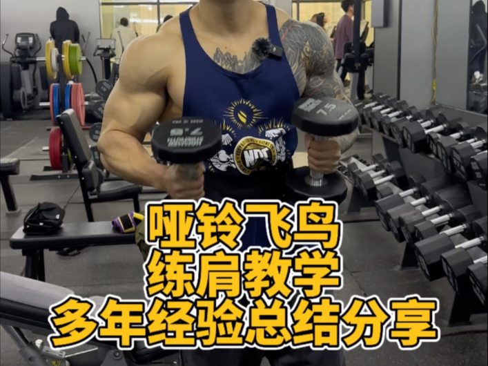 如果你飞鸟练肩感受不好，那我可以教你呀！多年经验细节总结，一定要耐心看完哦#健身 #健身千货 ＃健身小白必看经验＃肩部训练