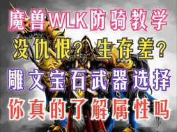 Download Video: 【魔兽世界】WLK防骑深度教学 详细剖析雕文属性宝石与武器选择