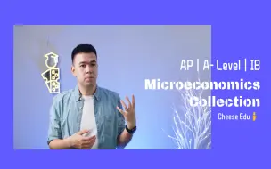 Download Video: 【AP/IB/ALEVEL Microeconomics微观经济学课程合集整理出来了！！！看完就懂】全英文讲解微观经济学知识点，新鲜案例，双语字幕